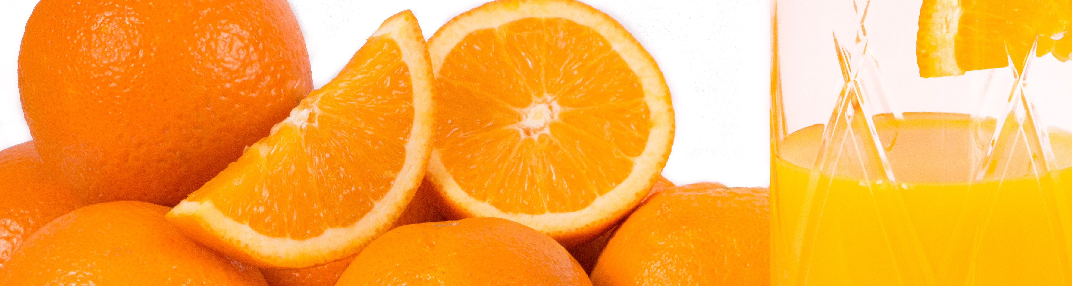 Banner empresa