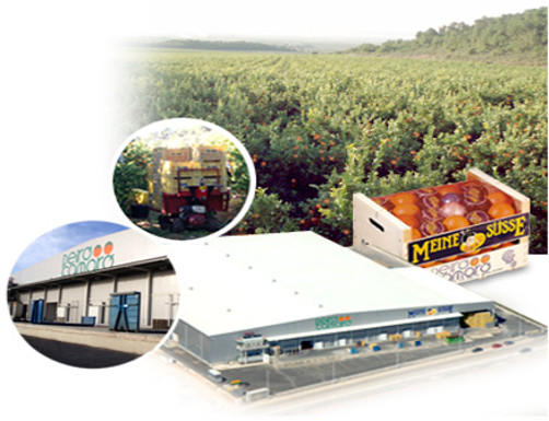 Imagen carrusel